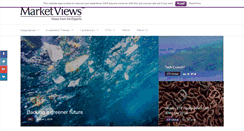 Desktop Screenshot of marketviews.com